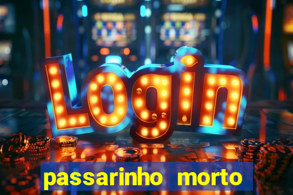 passarinho morto significado espiritual